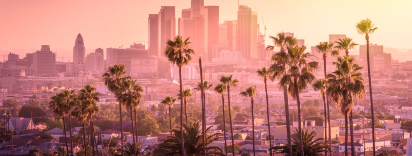 Beautiful sunset of Los Angeles downtown skyline and palm trees